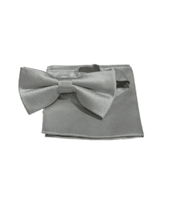 Accessoire Set Fliege silber zum mieten