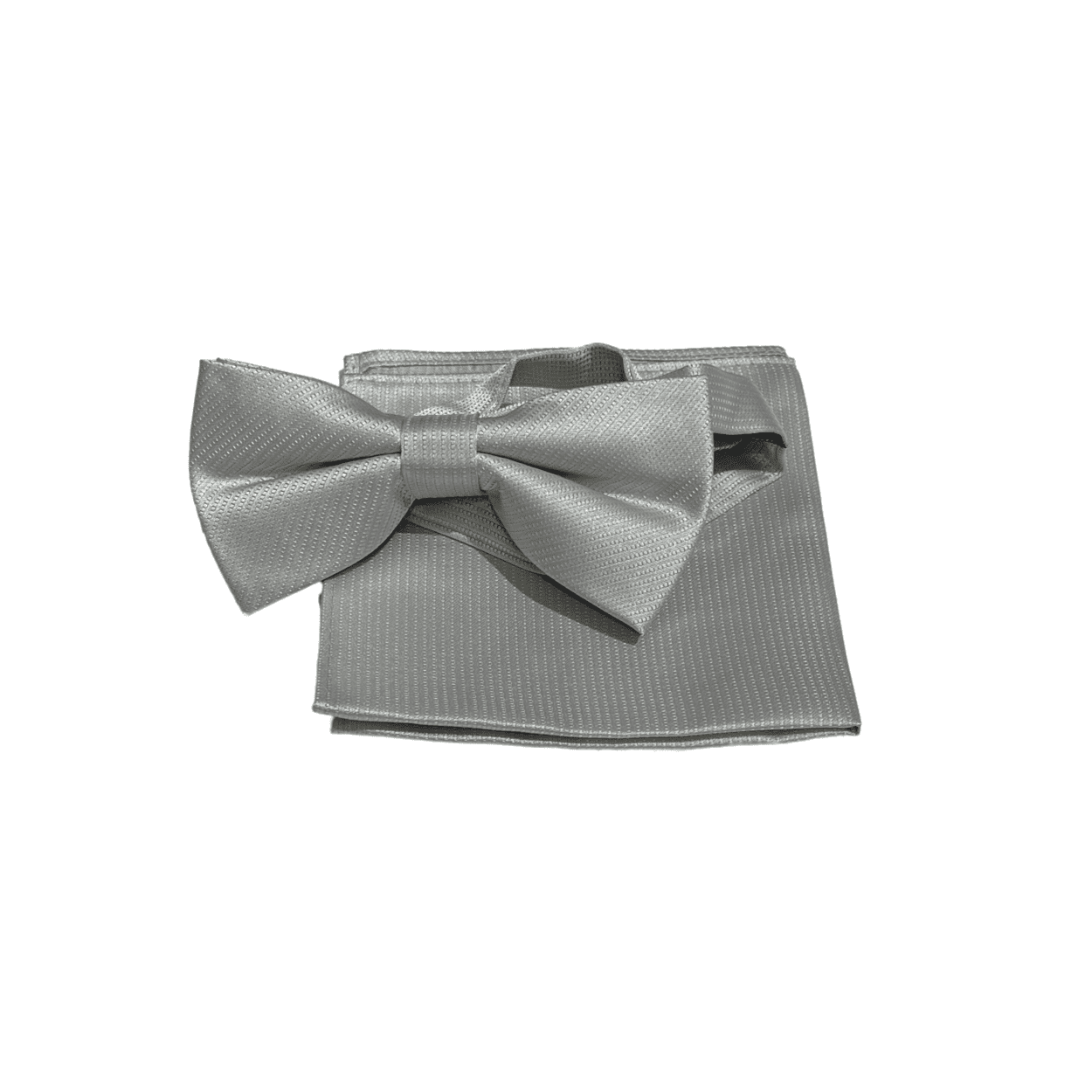 Accessoire Set Fliege silber zum mieten